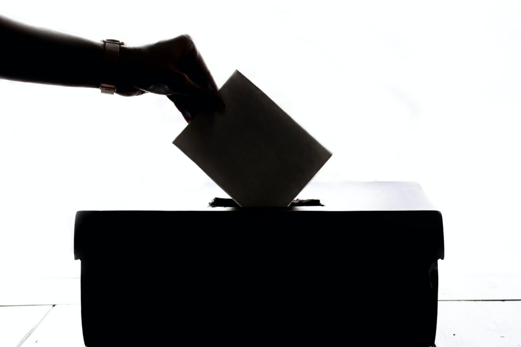 voting black and white