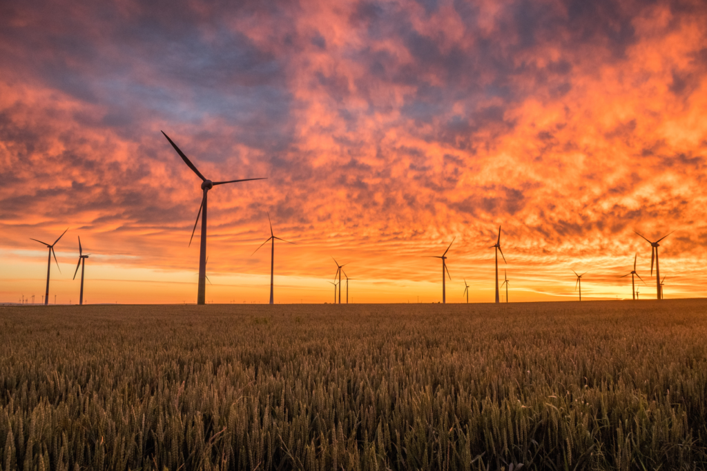 Sunset at windmill farm. 