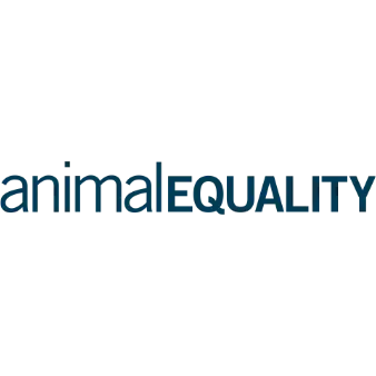 Animal_Equality | Whitehouse Communications Animal Equality logo in blue text on a black background